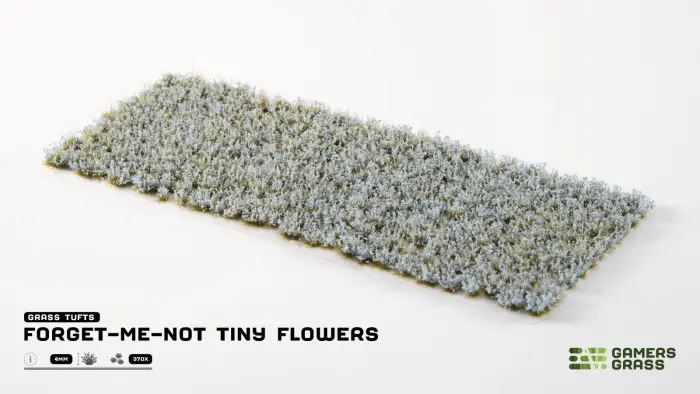 Forget-me-not Tiny Flowers