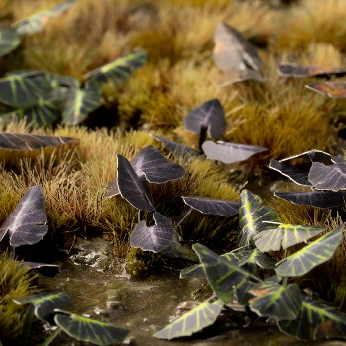 Laser Plants - Black Magic Taro