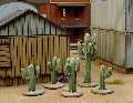 Photo of Cacti (DMH704)