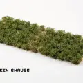 Photo of Strong Green Shrubs (GGFS-SG)